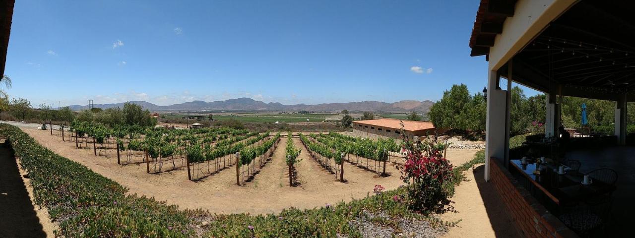 Hacienda Guadalupe Hotel Exteriör bild
